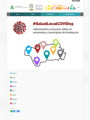 SaludLocalCOVID19 - Red Local de Acción en Salud 2
